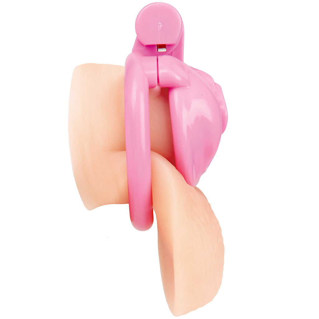 Blueline Bitchboy Degrading Mini Chastity Cage