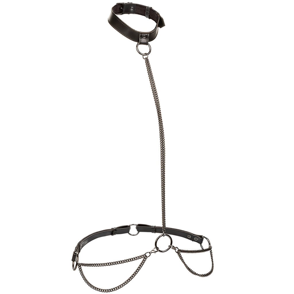 Euphoria Chain Collar & Leash: Luxurious BDSM Body Harness & Classic Fetish Set