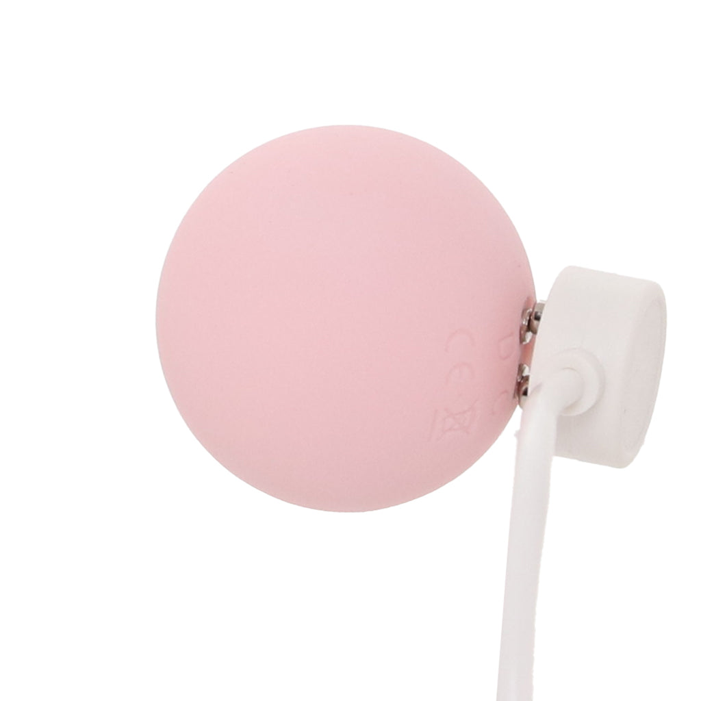 Loveline Pelvifit Strength Kegel Kit