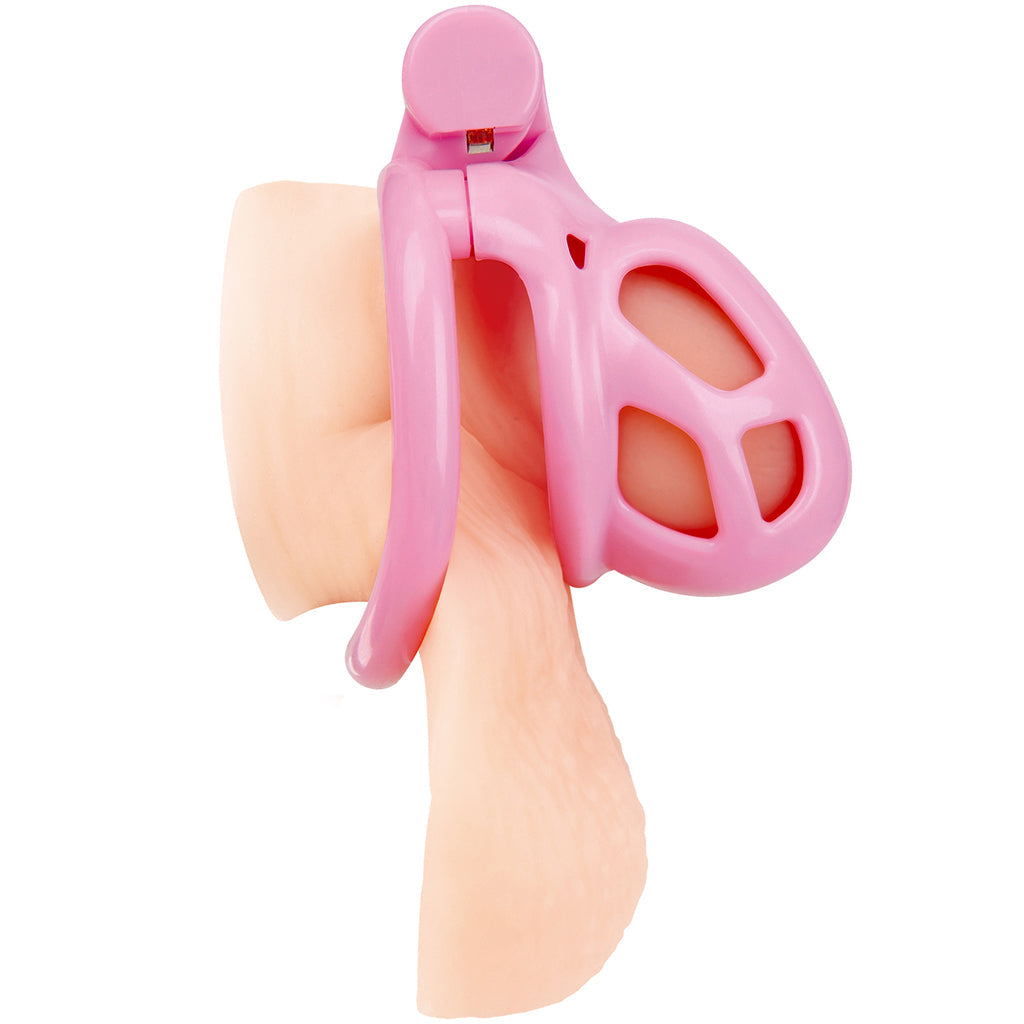 Blueline Small Pink Humiliation Prisoner Cock Cage