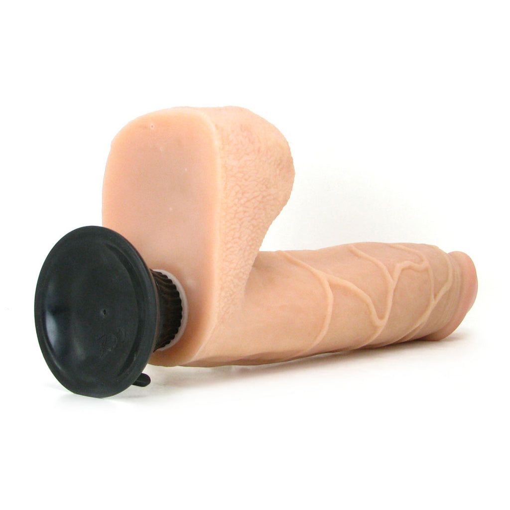 Real Feel Real Feel Deluxe 12 Inch Vibrating Wall Banger Dildo in Lig - Vibrators - HoneyHugs Canada (View 5)