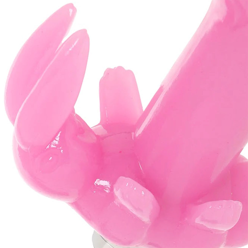 Bunny Dreams Vibe in Pink