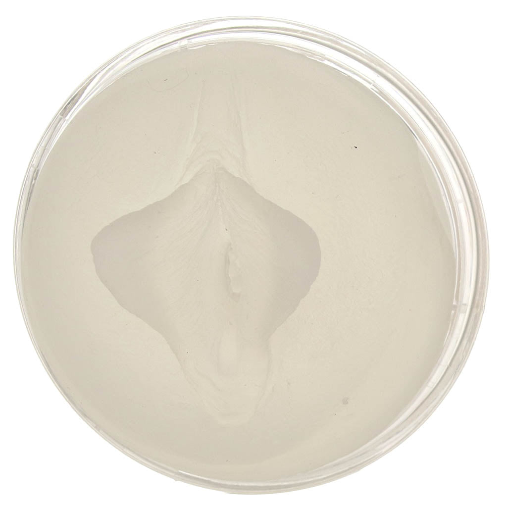 PDX Wet Pussies Super Luscious Lips Stroker in Clear