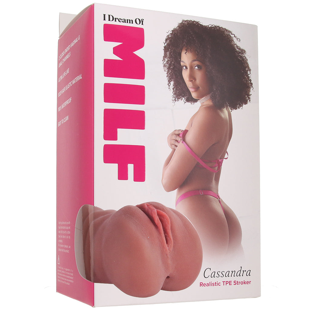 I Dream of MILF Cassandra Stroker