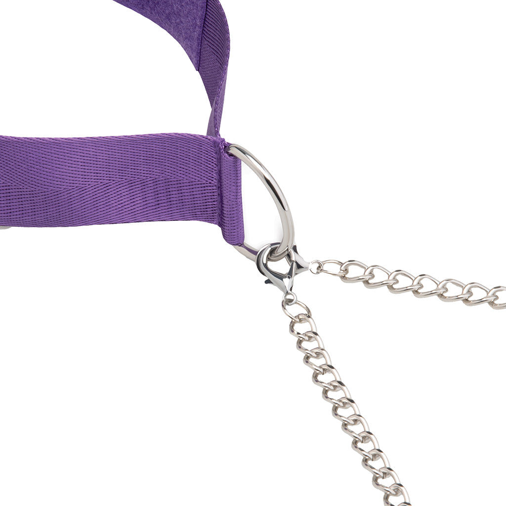 Lux Fetish Purple Collar & Nipple Clamp Set | Adjustable Sensory Play