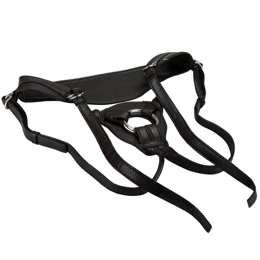 The Queen Her Royal Harness