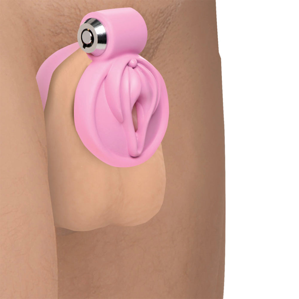 Master Series Pussification Vulva Chastity Cage: Embrace Ultimate Control & Submission