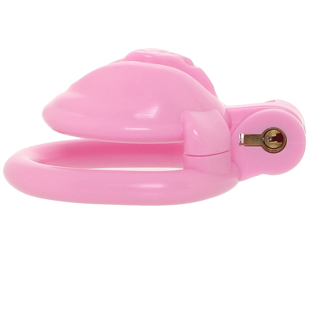 Blueline Bitchboy Degrading Mini Chastity Cage
