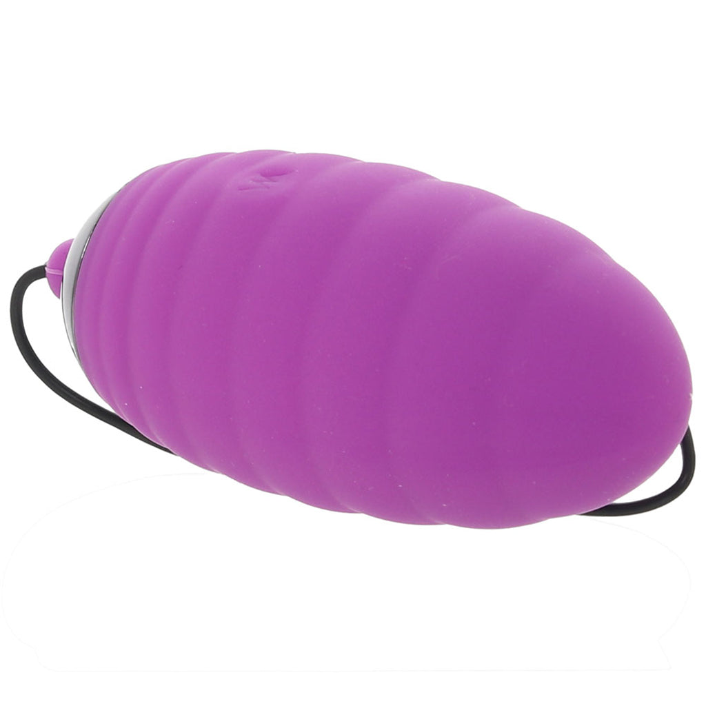 Adrien Lastic Ocean Breeze 2.0 Remote Egg Vibe in Purple - Vibrators - HoneyHugs Canada (View 5)