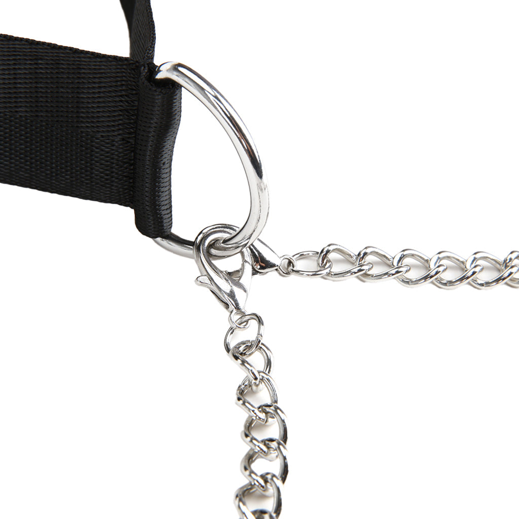 Lux Fetish: Elegant Collar & Adjustable Nipple Clamps for Exquisite Control