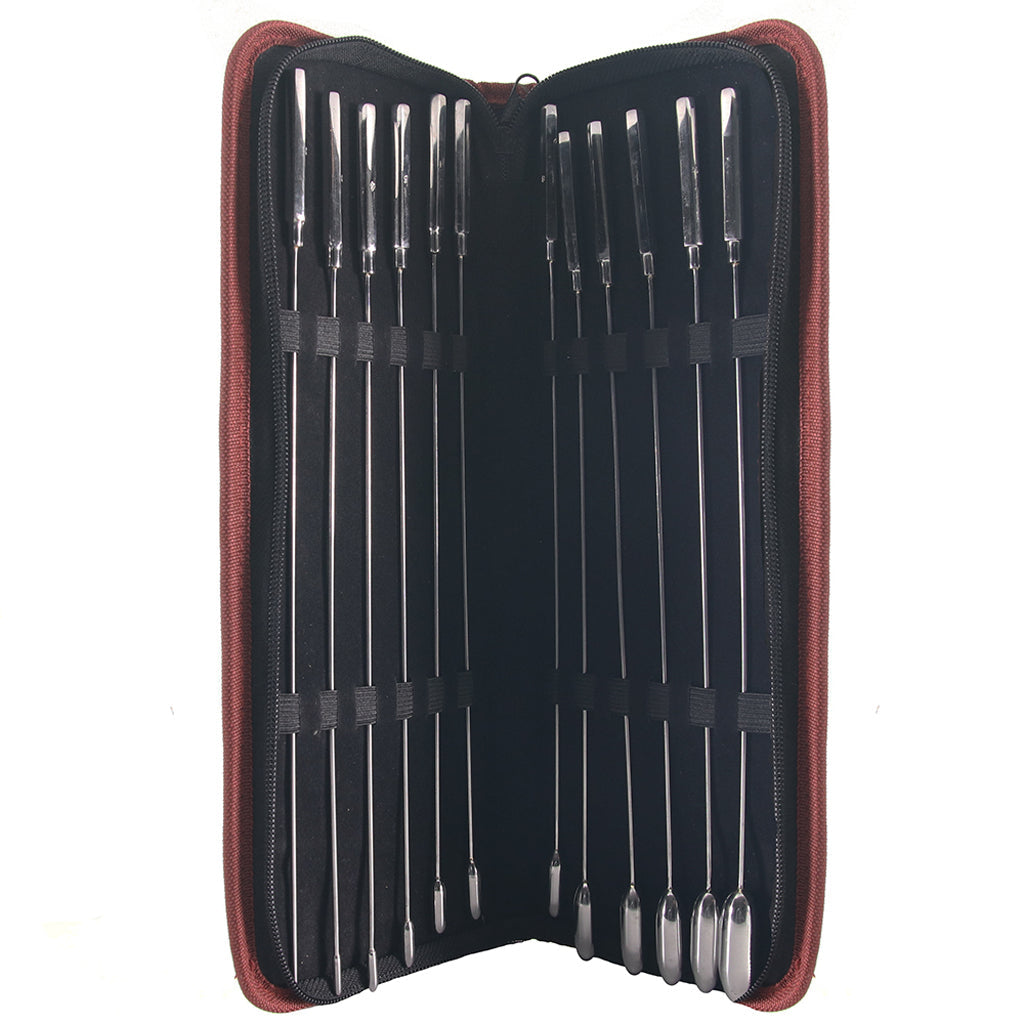 Rouge | The Pinnacle: 12-Piece Stainless Steel Rose Bud Sounding Set for Elite Exploration