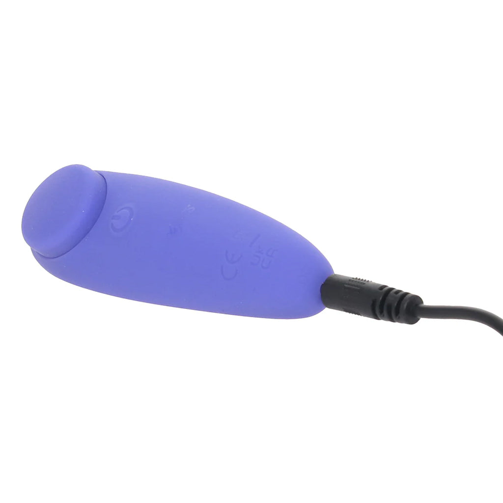Connect App Controlled Panty Teaser Vibe